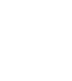 logo ЛМС управление капиталом