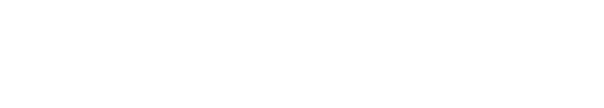 logo ЛМС управление капиталом